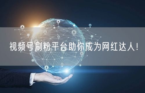 视频号刷粉平台助你成为网红达人！