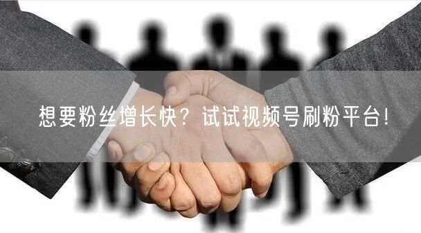 想要粉丝增长快？试试视频号刷粉平台！