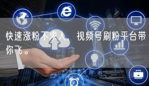 快速涨粉不求人，视频号刷粉平台带你飞。