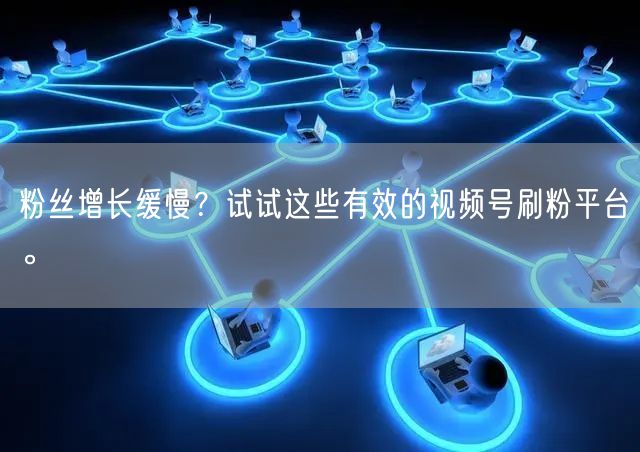 粉丝增长缓慢？试试这些有效的视频号刷粉平台。