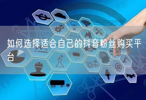 如何选择适合自己的抖音粉丝购买平台