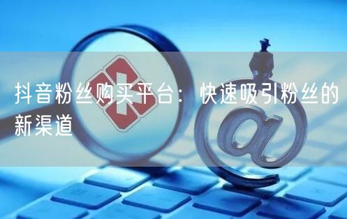 抖音粉丝购买平台：快速吸引粉丝的新渠道