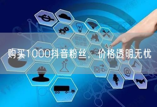 购买1000抖音粉丝，价格透明无忧