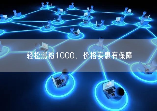 轻松涨粉1000，价格实惠有保障