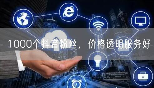 1000个抖音粉丝，价格透明服务好