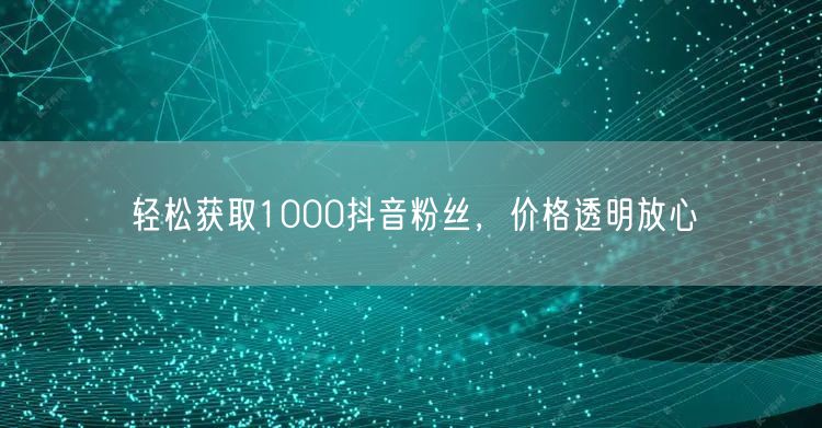 轻松获取1000抖音粉丝，价格透明放心