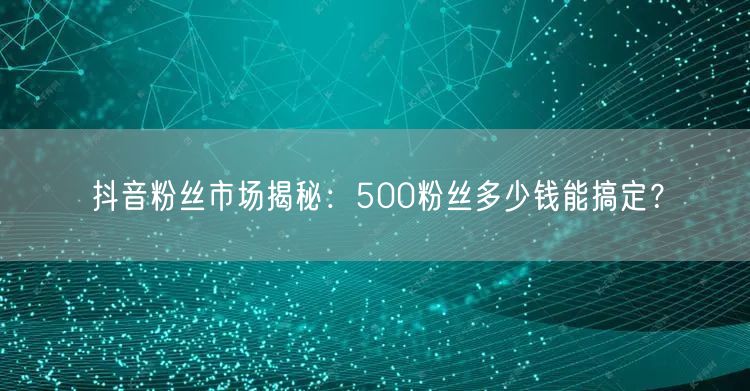 抖音粉丝市场揭秘：500粉丝多少钱能搞定？