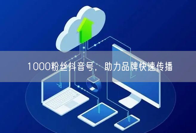 1000粉丝抖音号，助力品牌快速传播