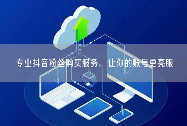 专业抖音粉丝购买服务，让你的账号更亮眼