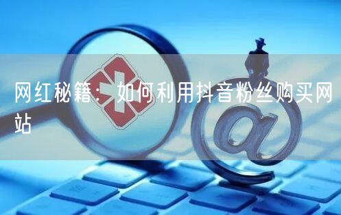 网红秘籍：如何利用抖音粉丝购买网站