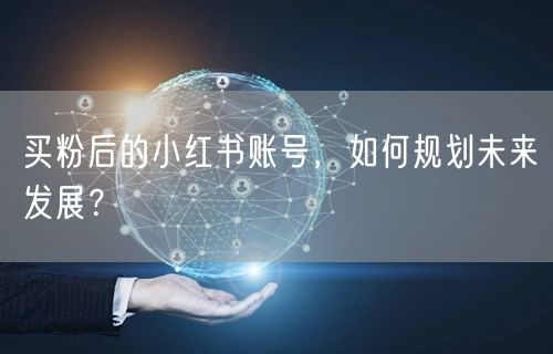 买粉后的小红书账号，如何规划未来发展？