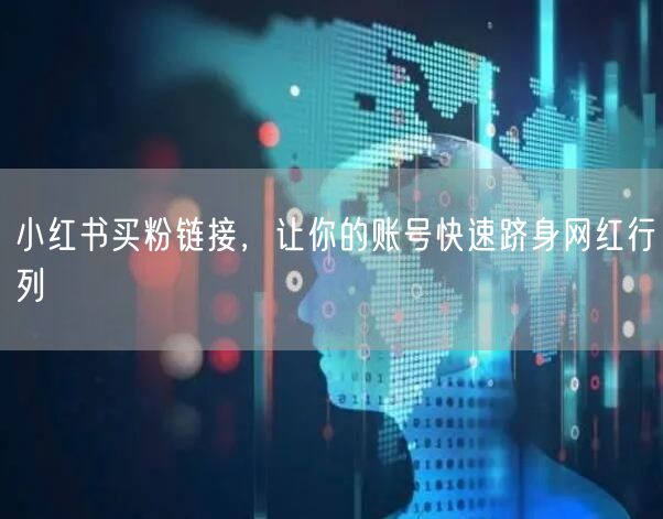 小红书买粉链接，让你的账号快速跻身网红行列
